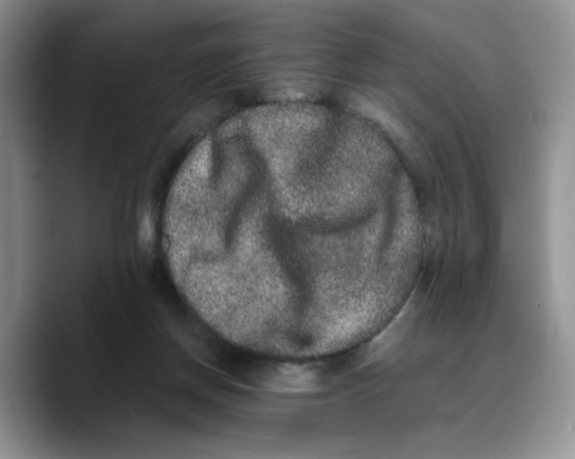 X0000089740166200707201909