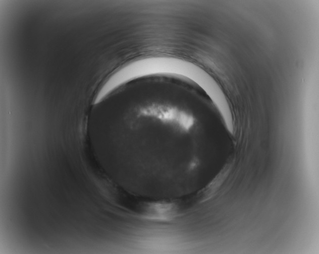 X0000089740168200707201909