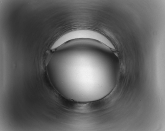 X0000089740170200707201909