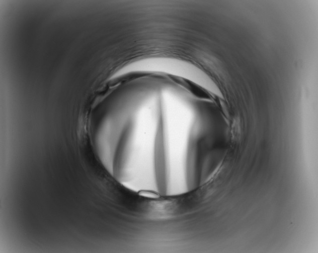 X0000089740172200707201909