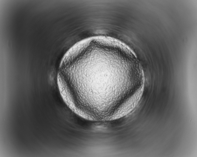 X0000089740175200707201909