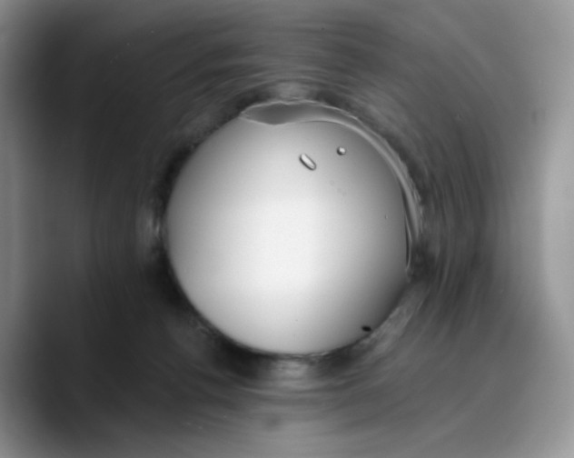 X0000089740176200707201909