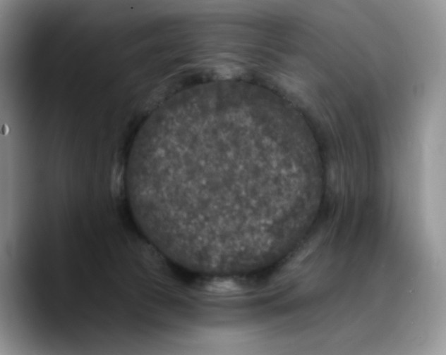 X0000089740177200707201909