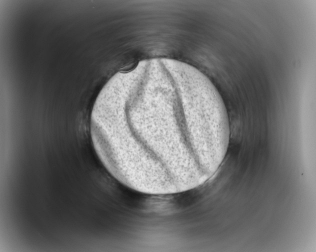 X0000089740179200707201909
