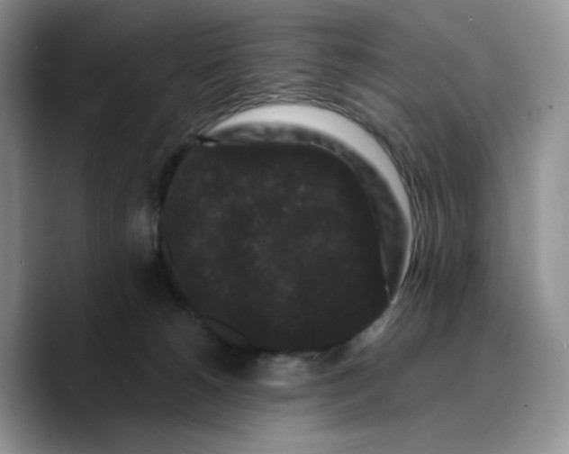 X0000089740180200707201909