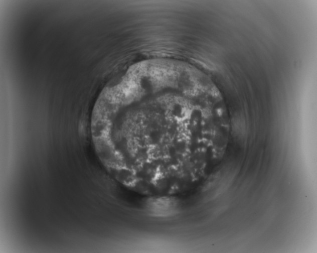 X0000089740181200707201909