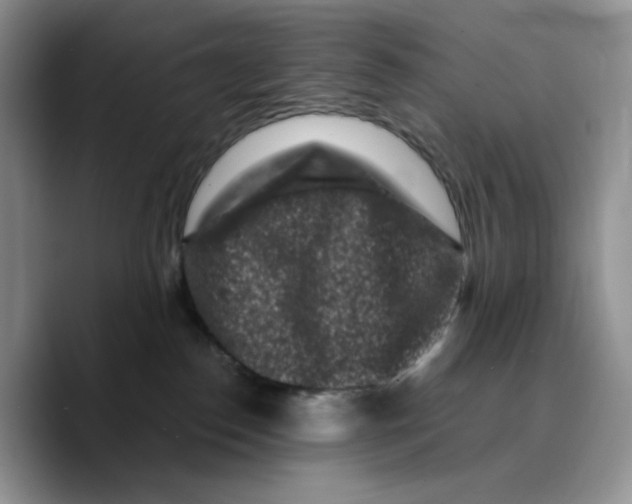 X0000089740186200707201909