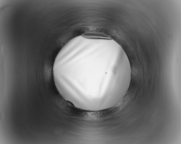 X0000089740188200707201909