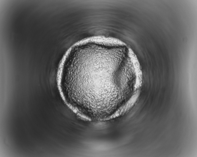 X0000089740189200707201909