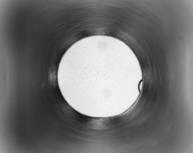 X0000089740190200707201909