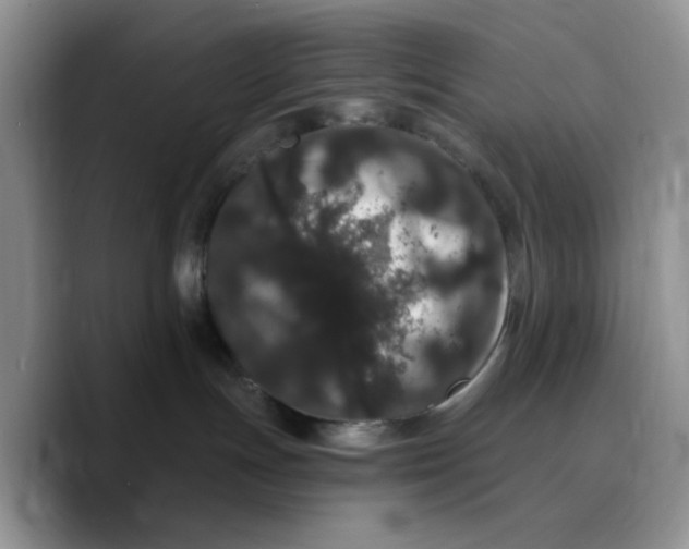 X0000089740191200707201909