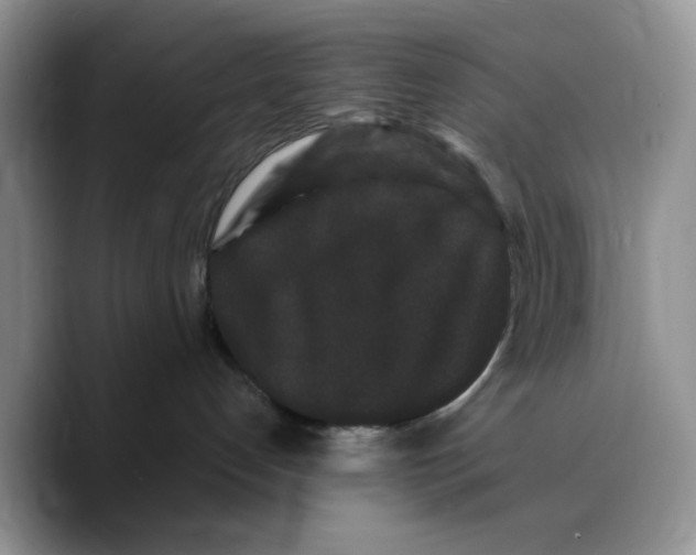 X0000089740192200707201909