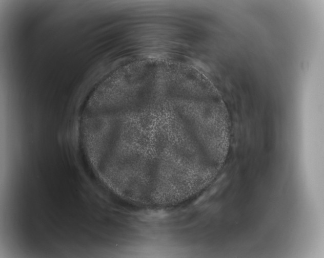 X0000089740194200707201909
