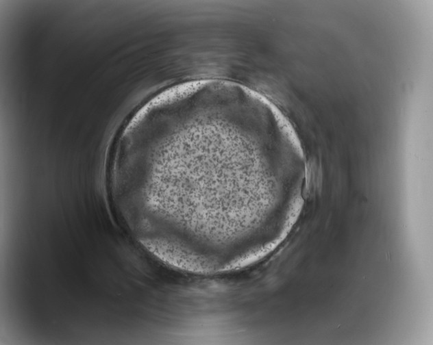 X0000089740195200707201909