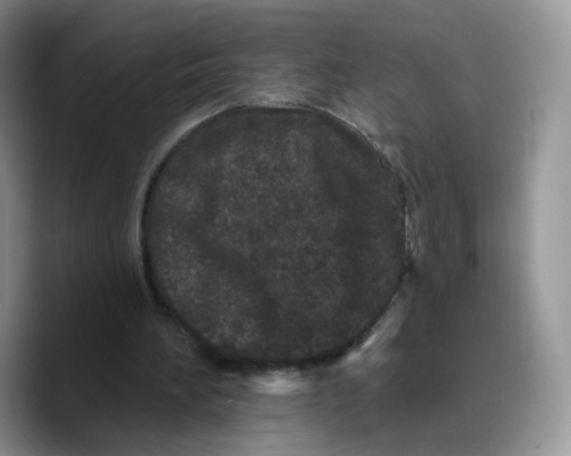 X0000089740196200707201909