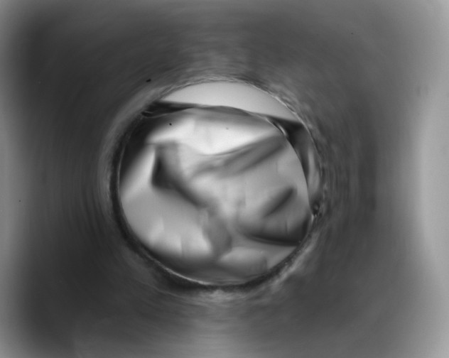 X0000089740197200707201909