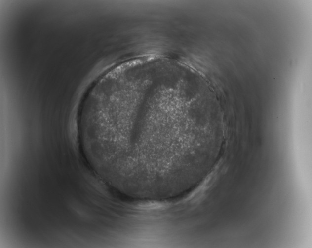 X0000089740198200707201909