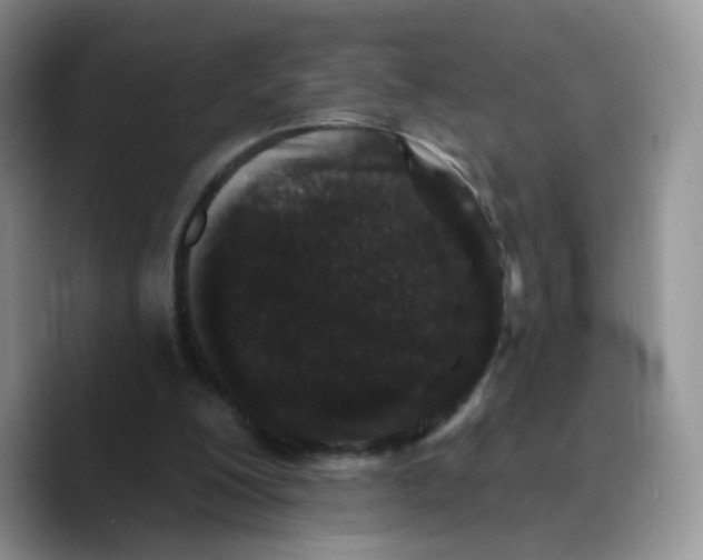 X0000089740200200707201909