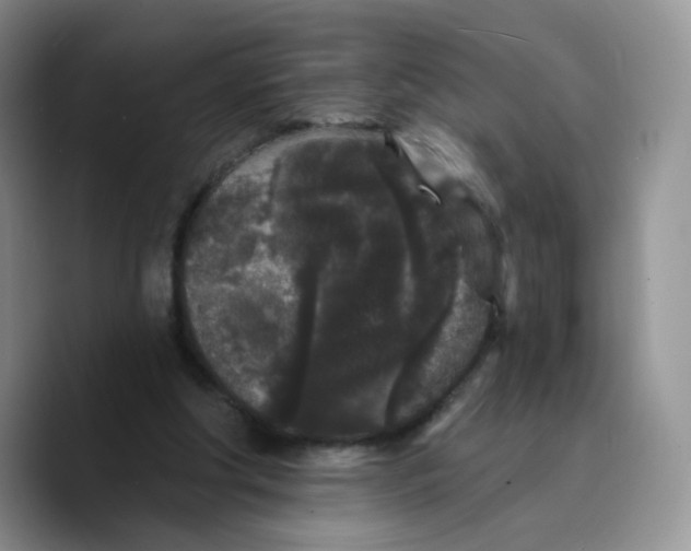 X0000089740202200707201908