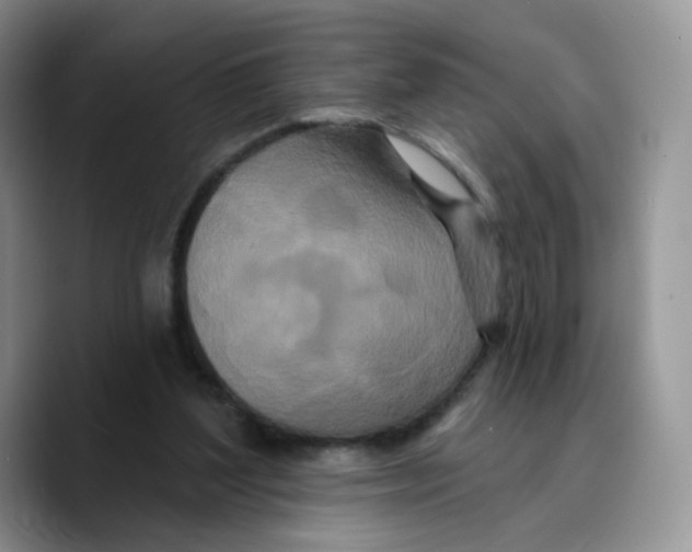 X0000089740204200707201908
