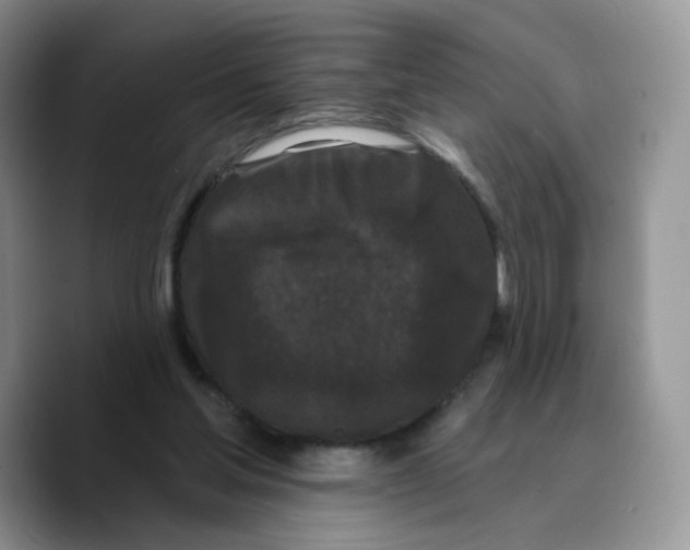 X0000089740205200707201908
