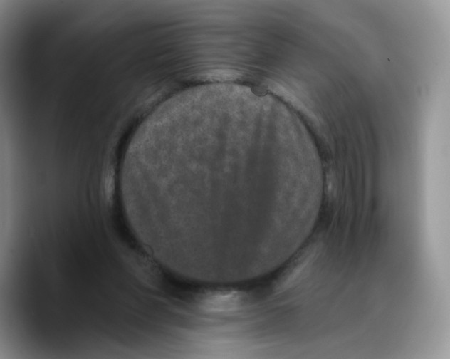 X0000089740206200707201908