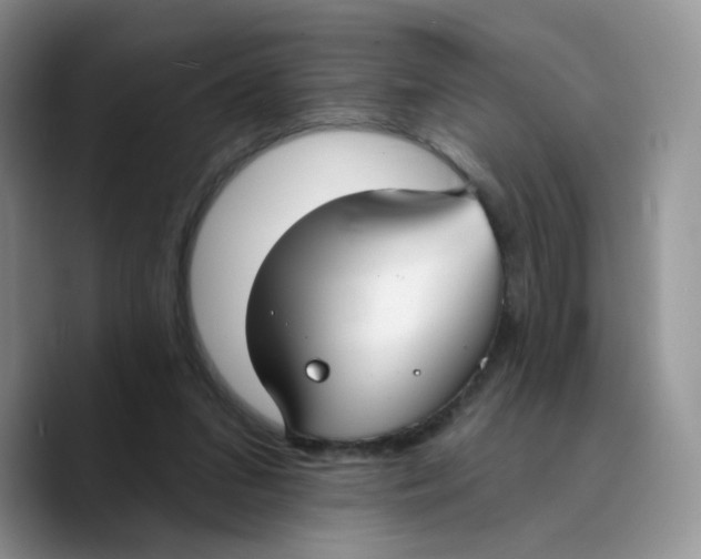 X0000089740207200707201908