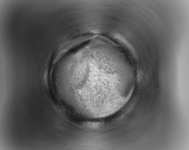 X0000089740209200707201908