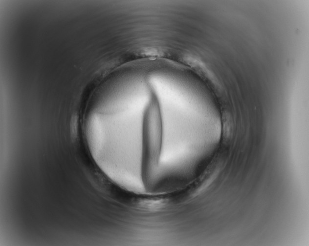 X0000089740213200707201908