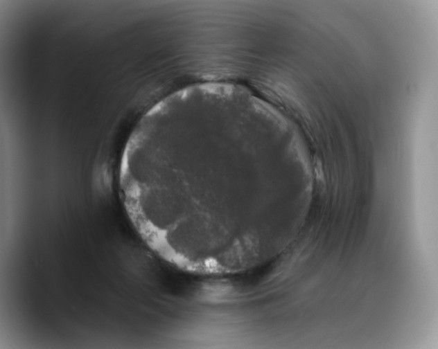 X0000089740214200707201908