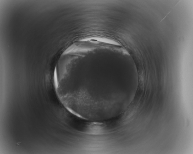 X0000089740222200707201908