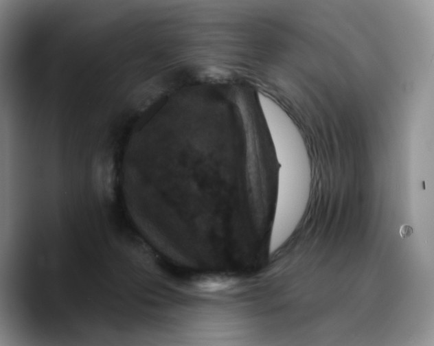 X0000089740223200707201908