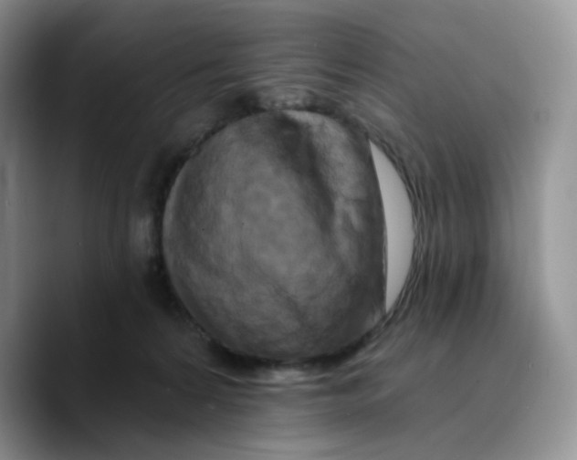 X0000089740224200707201908