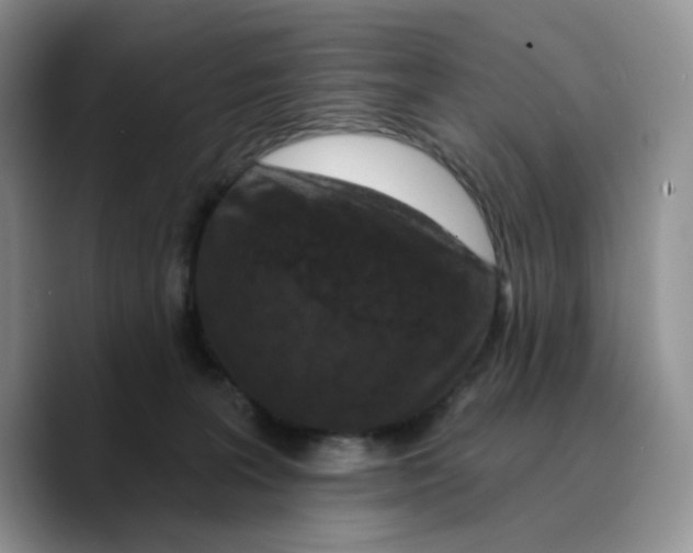 X0000089740227200707201908