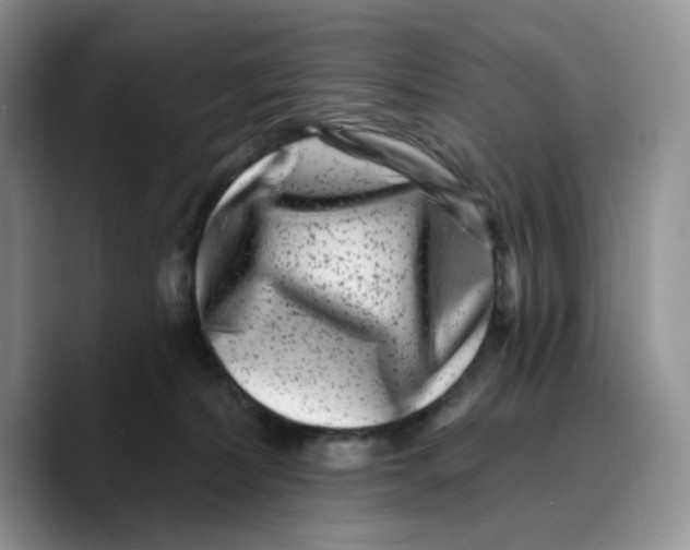 X0000089740228200707201908