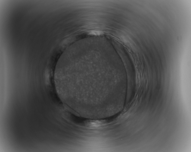 X0000089740229200707201908