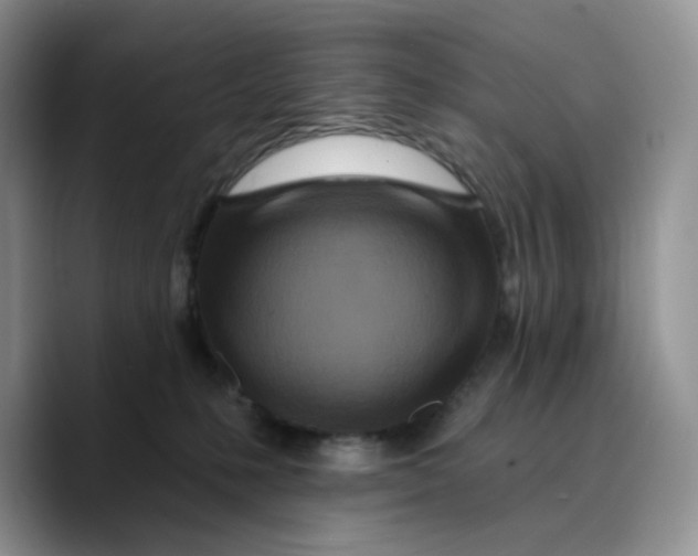 X0000089740231200707201908