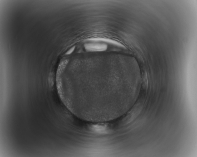 X0000089740232200707201908