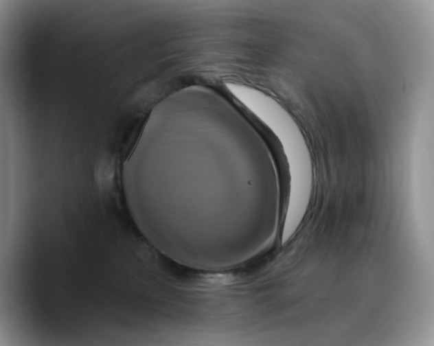 X0000089740233200707201908