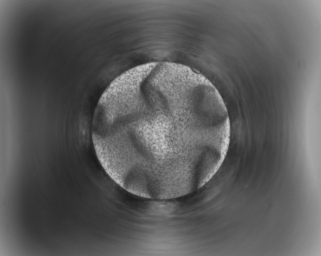 X0000089740234200707201908