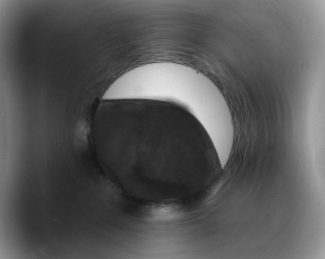 X0000089740235200707201908