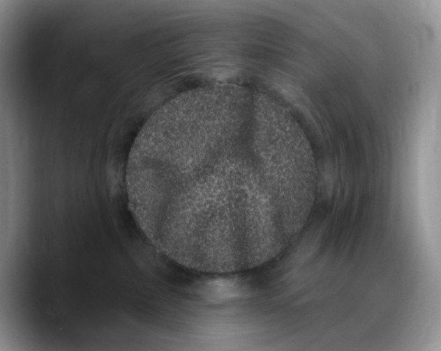 X0000089740236200707201908