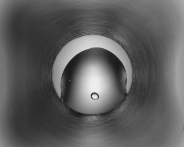 X0000089740237200707201908