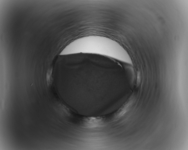 X0000089740239200707201908