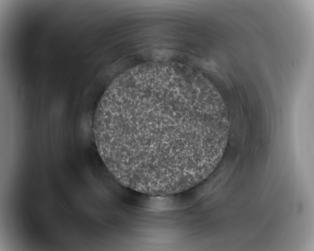 X0000089740240200707201908