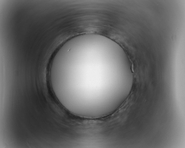 X0000089740242200707201907