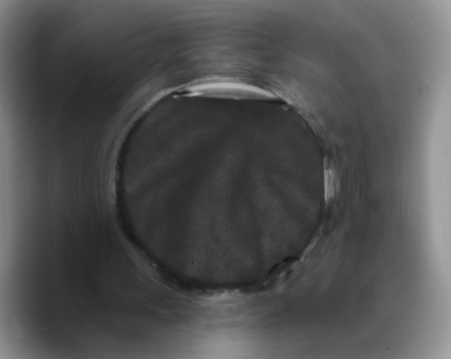 X0000089740243200707201907