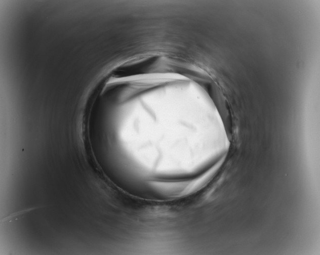 X0000089740244200707201907