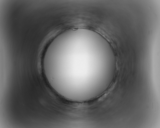 X0000089740245200707201907