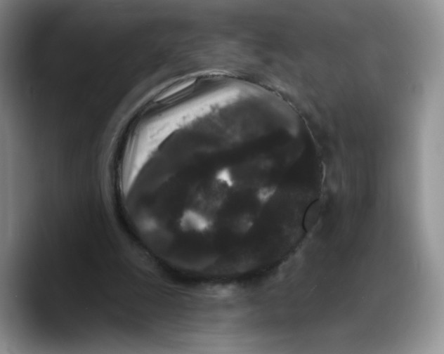 X0000089740247200707201907